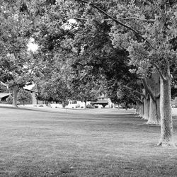Netherwood Park