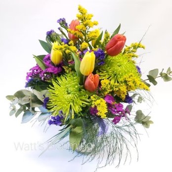 Watt's Blooming - Florists Near Me - Indianapolis, Indiana Watt's Blooming - Florists Near Me - Indianapolis, Indiana