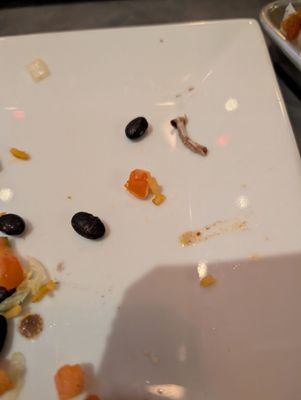 The NexMex Thing by null