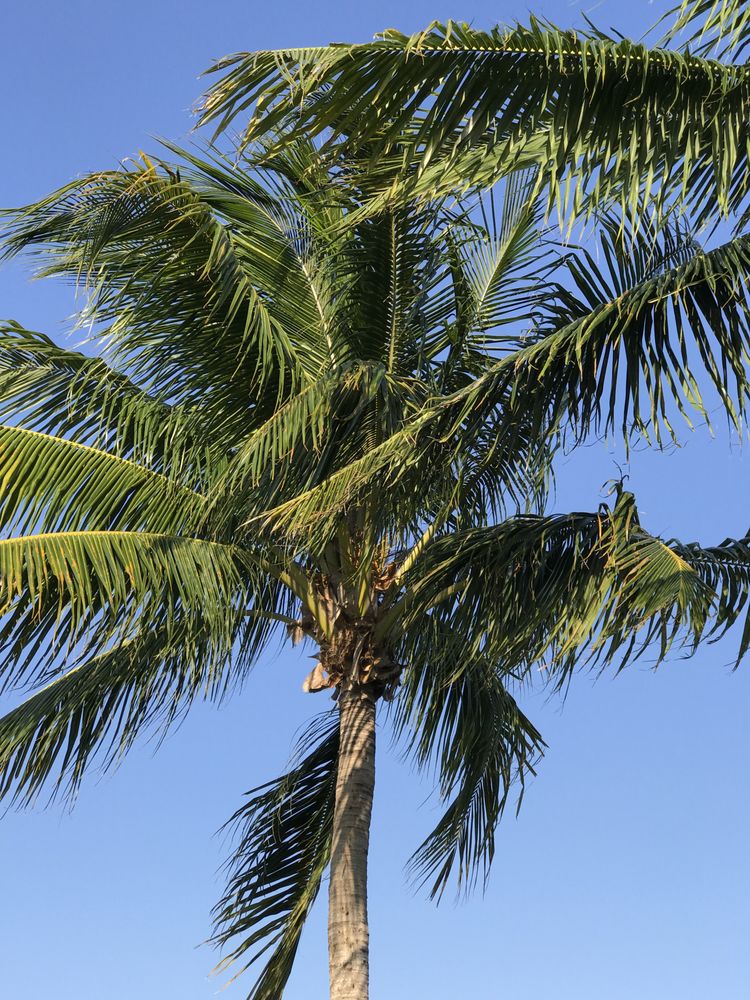 INTOUCH MASSAGE THERAPY Updated August 2024 23106 Cinema Way