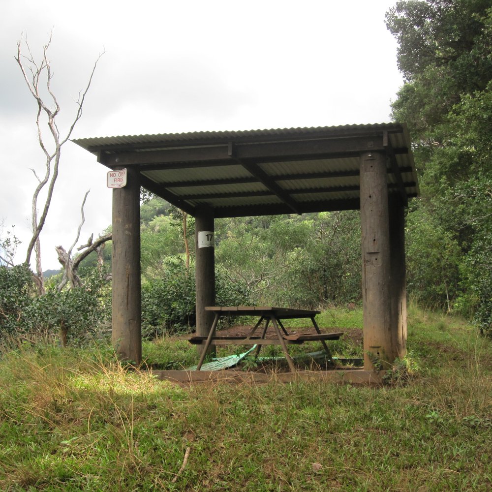 Waimano Loop Trail - Picnic spot - Hiking Near Me - Pearl City, Hawaii Waimano Loop Trail - Picnic spot - Hiking Near Me - Pearl City, Hawaii