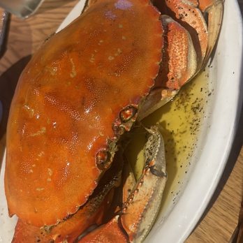 Thanh Long - Beautiful Roast Crab - Seafood Near Me - San Francisco, California Thanh Long - Beautiful Roast Crab - Seafood Near Me - San Francisco, California