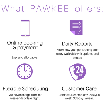 Pawkee Pet Sitting - What PAWKEE Pet Sitting offers - Pet Sitting Near Me - Toronto, Ontario Pawkee Pet Sitting - What PAWKEE Pet Sitting offers - Pet Sitting Near Me - Toronto, Ontario