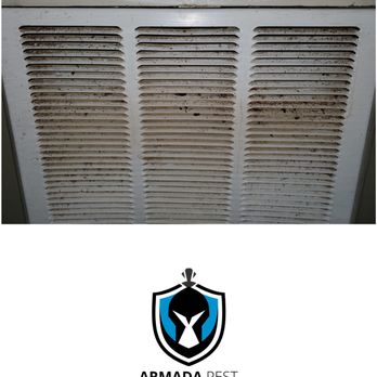 Armada Pest Control - Pest Control Near Me Armada Pest Control - Pest Control Near Me