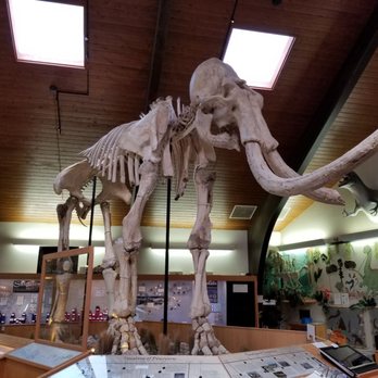 Tate Geological Museum - Museums Near Me - Casper, Wyoming Tate Geological Museum - Museums Near Me - Casper, Wyoming