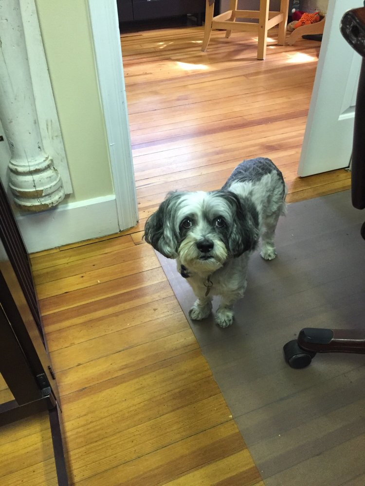 PARKER LORRAINE DC Updated September 2024 361 Rt 202, Somers, New