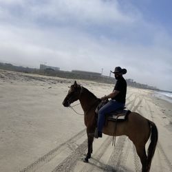 Rider and Mexico