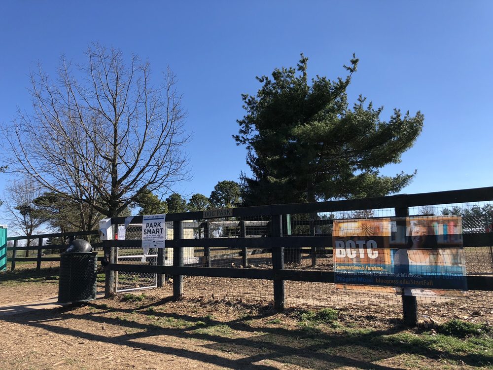 MASTERSON STATION DOG PARK 44 Photos & 26 Reviews Dog Parks 3051