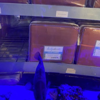 HolySheets - Aquarium - Home Decor Near Me - Las Vegas, Nevada