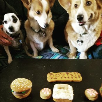 The Dog Bakery - Pet Stores Near Me - Pasadena, California The Dog Bakery - Pet Stores Near Me - Pasadena, California