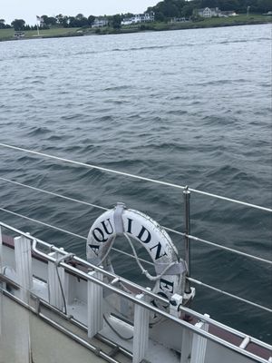 Sightsailing by null