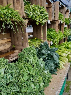 Grand Army Plaza Greenmarket by null
