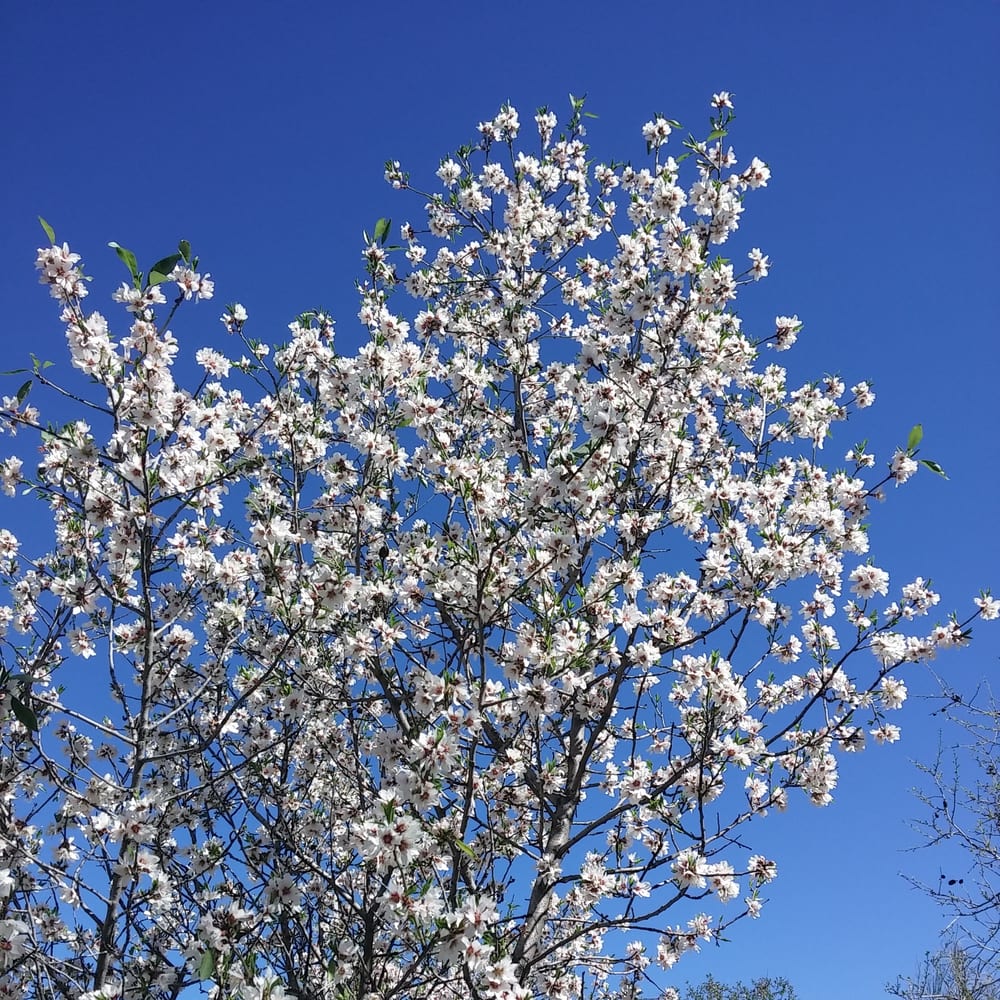 Parque Dehesa de la Villa