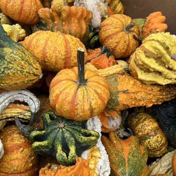 Barthel's Farm Market - Nurseries & Gardening Near Me - Ellenville, New York