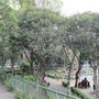 Parque Rafael Donde