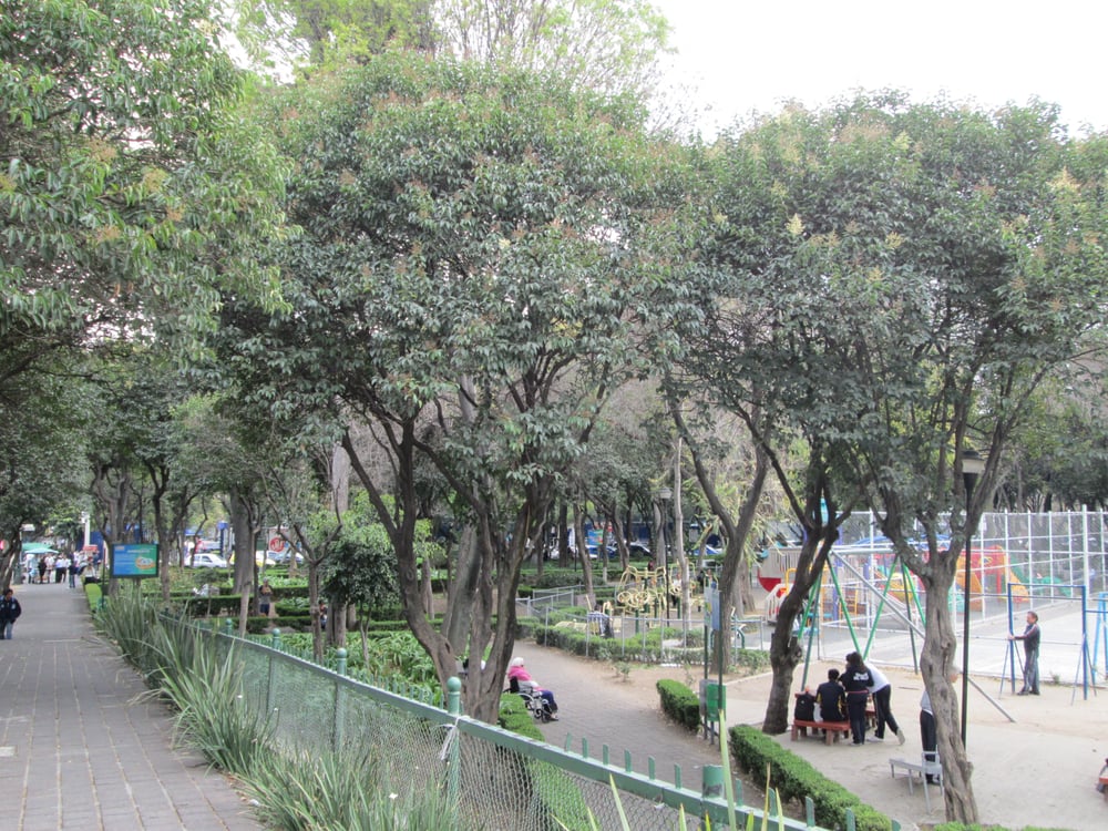 PARQUE RAFAEL DONDE - Updated September 2024 - Rafael Donde s/n Colonia ...