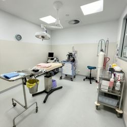 Northfield Veterinary Clinic