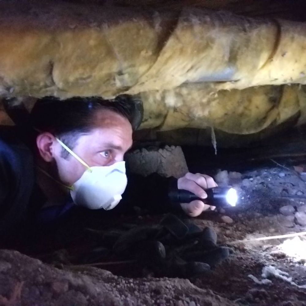 TOP 10 BEST Asbestos Testing in Vallejo, CA - Updated 2026 - Yelp