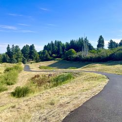 Sunnyside Park - August 13
