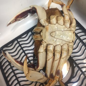 99 Ranch Market - Seafood Markets Near Me - Arcadia, California