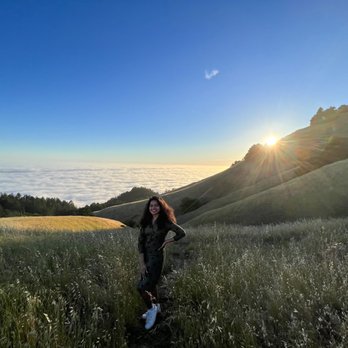 Mount Tamalpais State Park - Parks Near Me - Mill Valley, California Mount Tamalpais State Park - Parks Near Me - Mill Valley, California