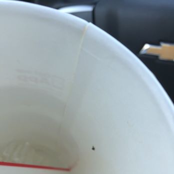 McDonald's - A fly in my drink. Once I finished it , I opened lid to eat ice and there it was. - Burgers Near Me - Pomona, California McDonald's - A fly in my drink. Once I finished it , I opened lid to eat ice and there it was. - Burgers Near Me - Pomona, California