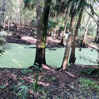Black Bear Wilderness Area - View from trails - Hiking Near Me - Sanford, Florida