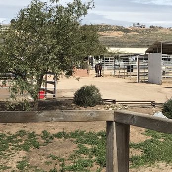 Green Acres Ranch - Horseback Riding Near Me - Temecula, California