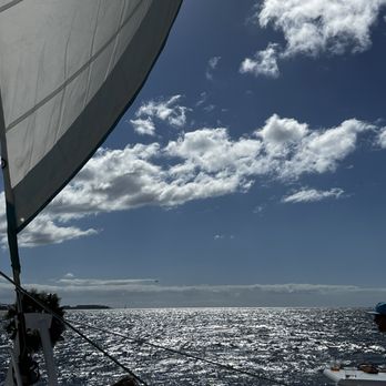 Sea Maui - Heading back - Boat Charters Near Me - Lahaina, Hawaii Sea Maui - Heading back - Boat Charters Near Me - Lahaina, Hawaii
