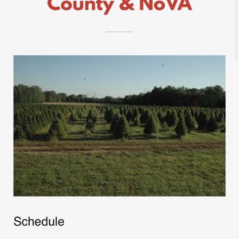 Evergreen Acres - Last Christmas tree farm in prince william county! - Christmas Trees Near Me - Nokesville, Virginia Evergreen Acres - Last Christmas tree farm in prince william county! - Christmas Trees Near Me - Nokesville, Virginia
