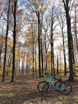 AJ's Ski & Sports by null