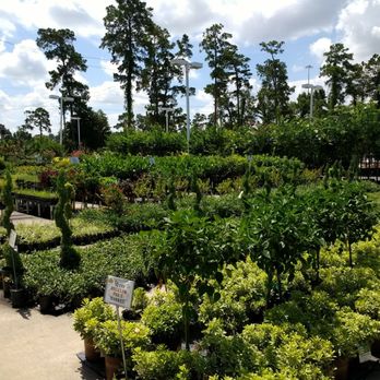 Houston Garden Centers - Home & Garden Near Me - Humble, Texas Houston Garden Centers - Home & Garden Near Me - Humble, Texas