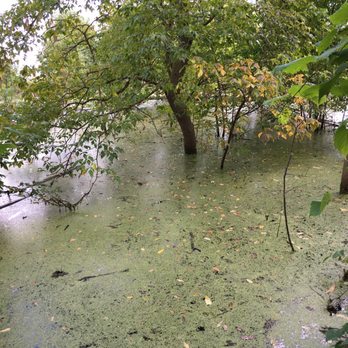 Rattray Marsh - Hiking Near Me - Mississauga, Ontario
