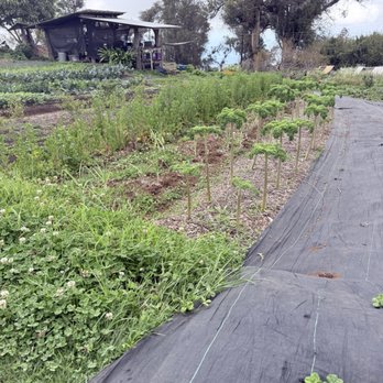 O'o Farms - Food Tours Near Me - Kula, Hawaii