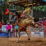 Photo of Blackhawk Ranch Championship Rodeo
