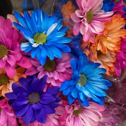 Hannaford Supermarkets - Bright colors