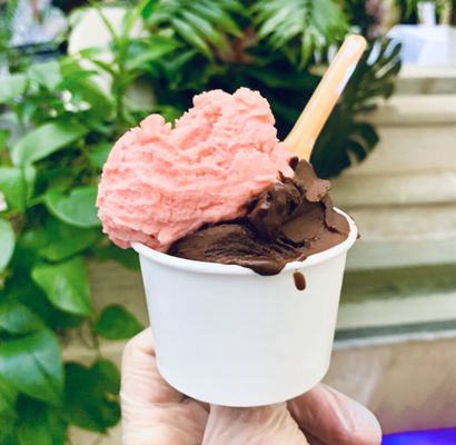 Tondi Gelato by null