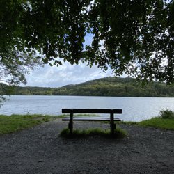 Castlewellan Forest Park - Lakeside path