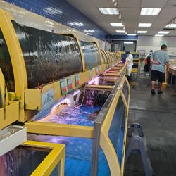 Tanks with running water...