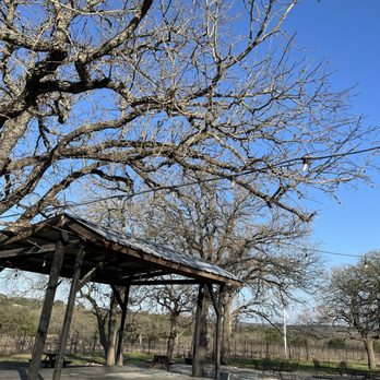 Hamilton Pool Vineyards - Warm outdoor area in the winter (February) - Wineries Near Me - Dripping Springs, Texas Hamilton Pool Vineyards - Warm outdoor area in the winter (February) - Wineries Near Me - Dripping Springs, Texas