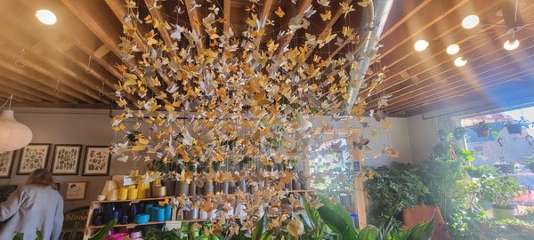 The Living Room by null