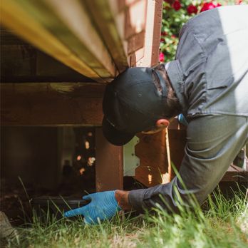 Pest Pro Pest Control - A Pest Pro technician placing an exterior rodent bait station. - Pest Control Near Me - Salt Lake City, Utah Pest Pro Pest Control - A Pest Pro technician placing an exterior rodent bait station. - Pest Control Near Me - Salt Lake City, Utah