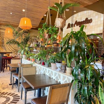 Jonah's Kitchen + Bar - Beautiful seating - Latin American Near Me - Santa Monica, California Jonah's Kitchen + Bar - Beautiful seating - Latin American Near Me - Santa Monica, California