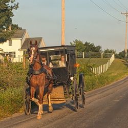 Shipshewana North Park - Carriage rides nearby