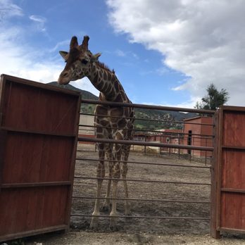 Wildlife Learning Center - Zoos Near Me - Sylmar, California Wildlife Learning Center - Zoos Near Me - Sylmar, California
