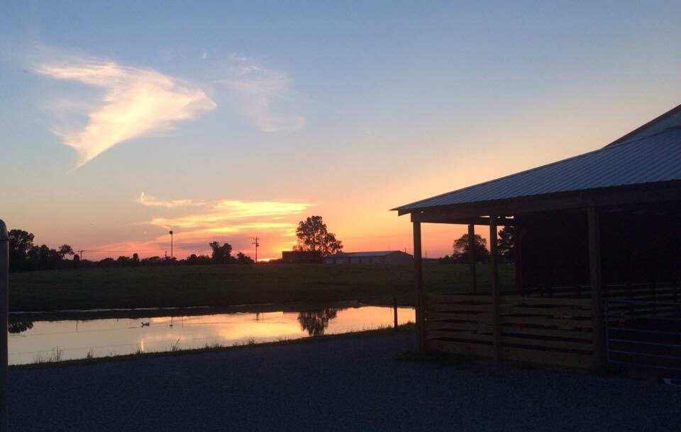 Caddo Equestrian - equestrian in Trinity, AL