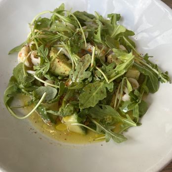 Apolonia - Calamari Salad - Modern European Near Me - Chicago, Illinois