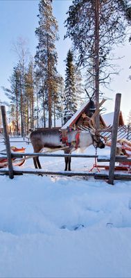 Santa Claus Village by null