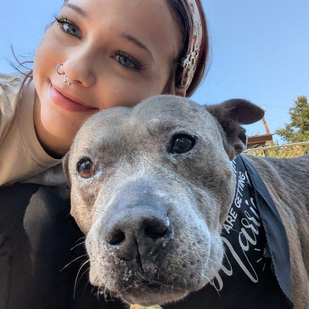 Barks & Recreation Pet Suites - Pet Sitting Near Me - Spring, Texas