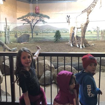 Toronto Zoo - Zoos Near Me - Toronto, Ontario